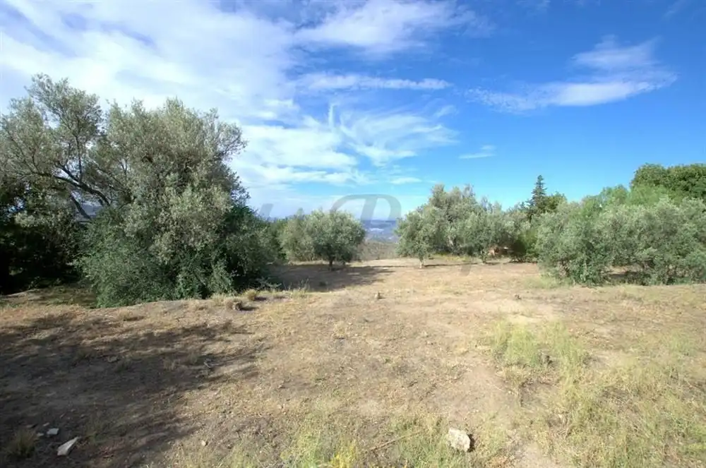 Terreno residencial en venta en Canillas de Aceituno, imagen 3