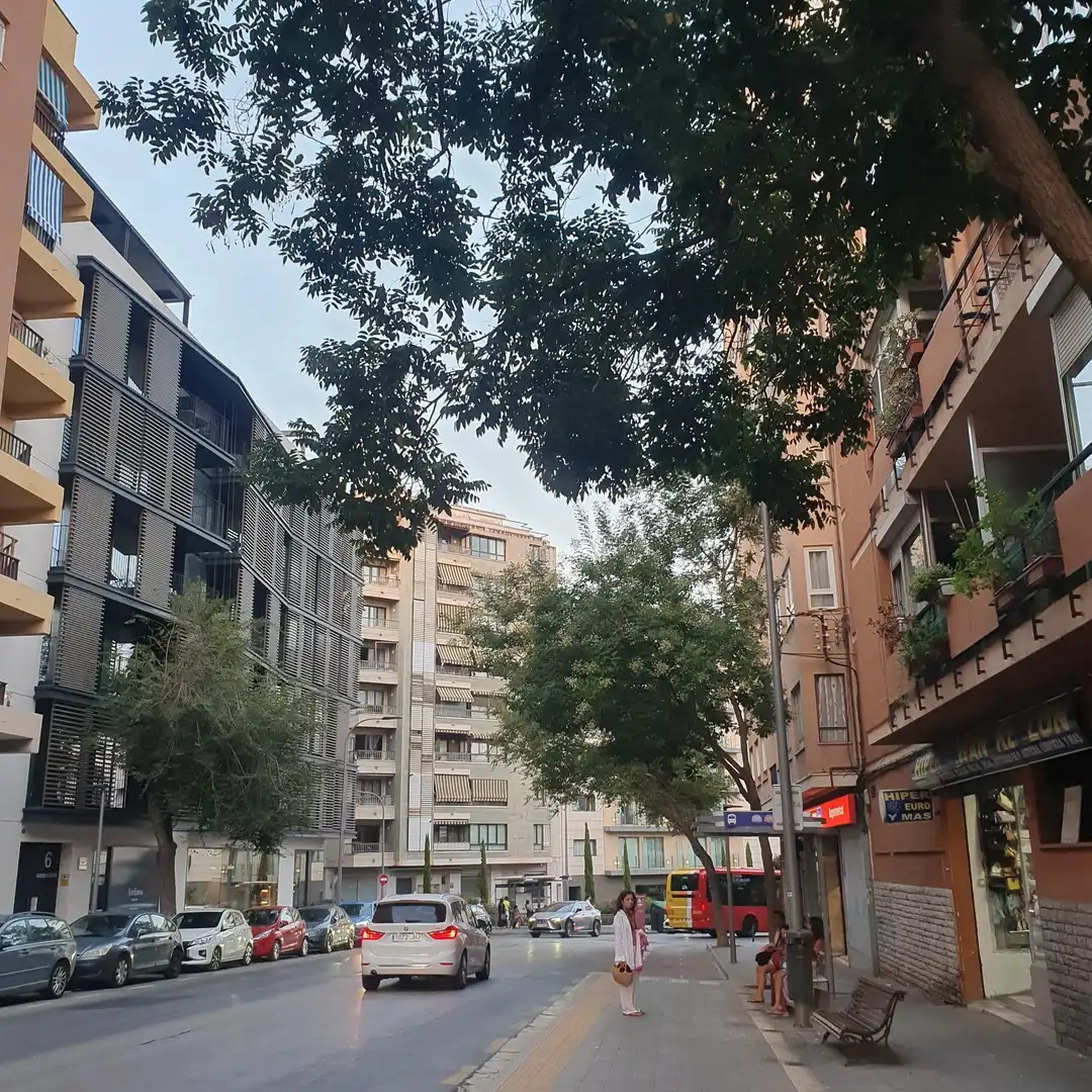 Vista exterior de Pis en venda en  Palma de Mallorca amb Aire condicionat, Parquet i Terrassa