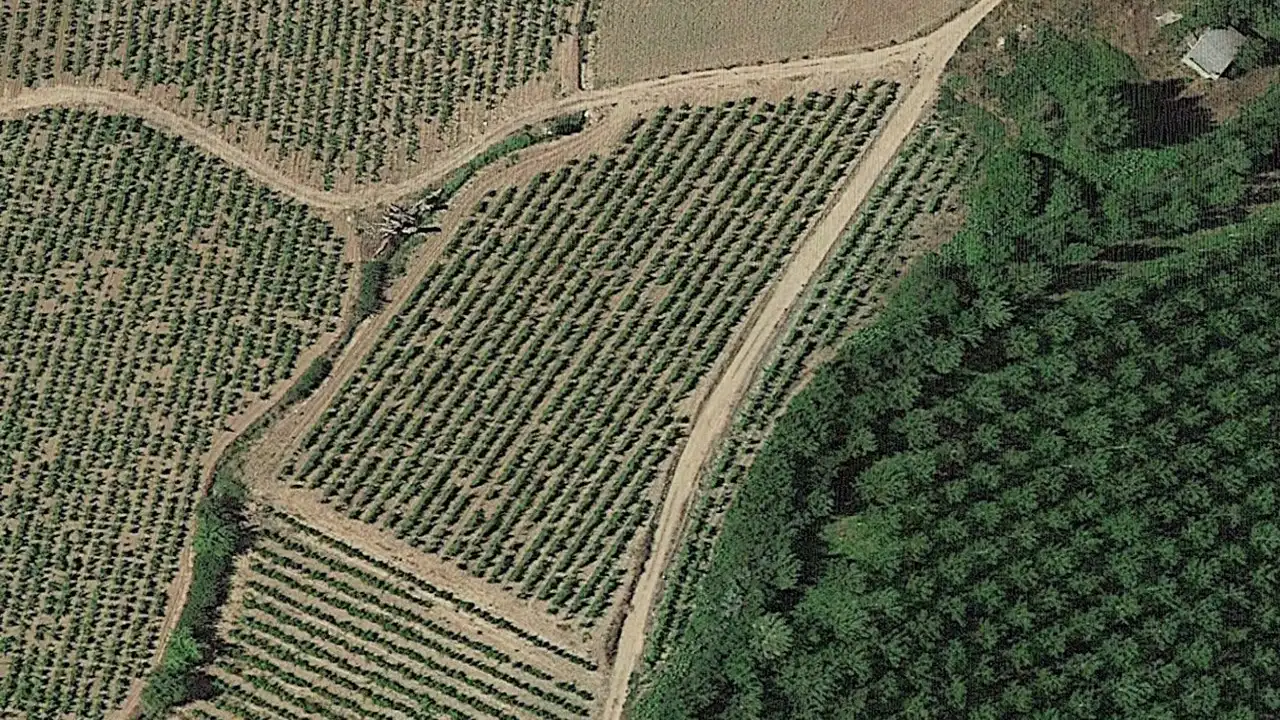 Lands and plots for sale in C/ Polígono 12 Parcela 34, imagen 3