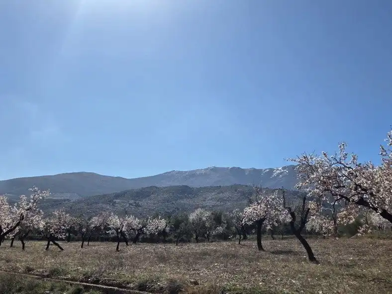 Grundstücke zum Verkauf in Abrucena
