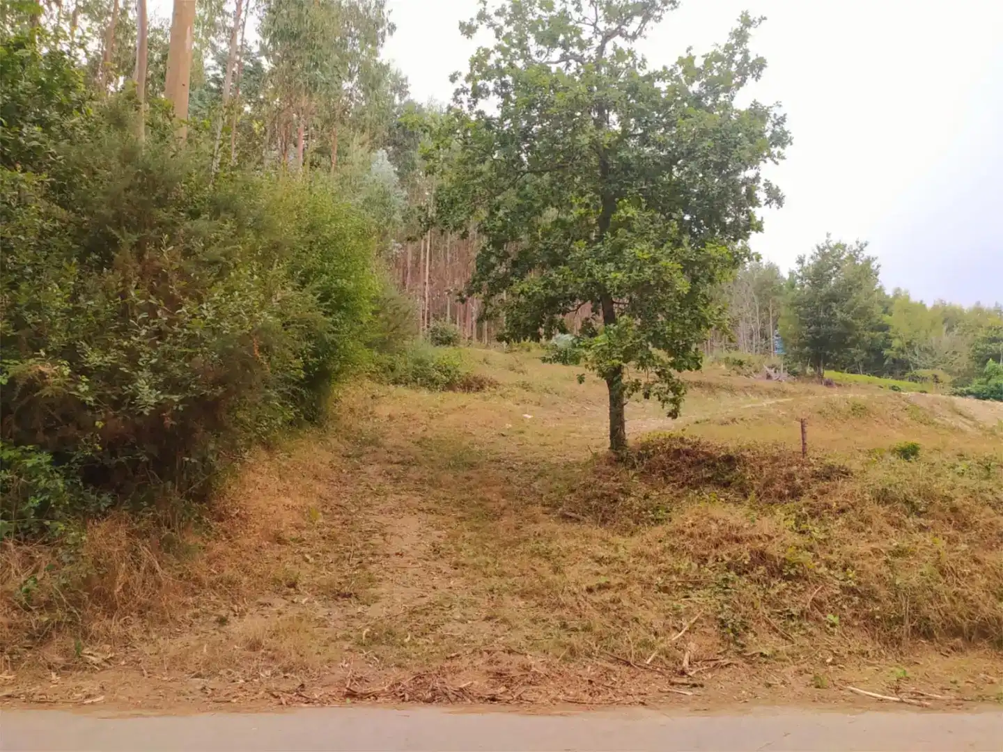 Terreno en venta en Cesuras