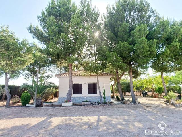 Terreno en Venta en Campo de Criptana