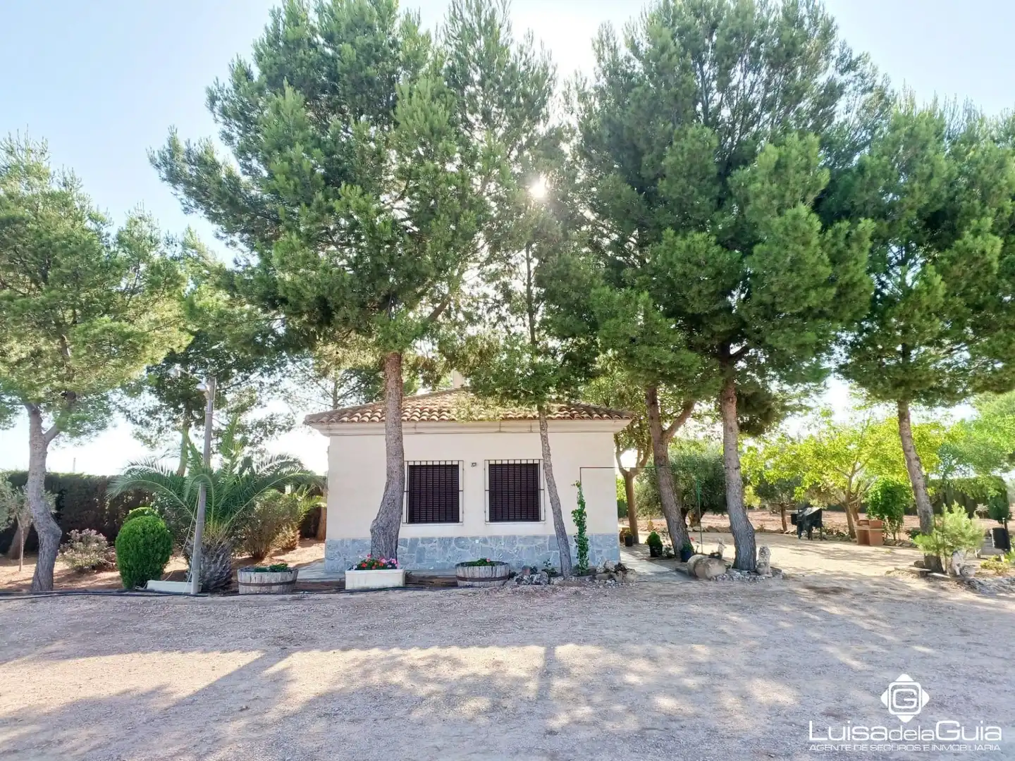 Terreno rustico in vendita a Campo de Criptana