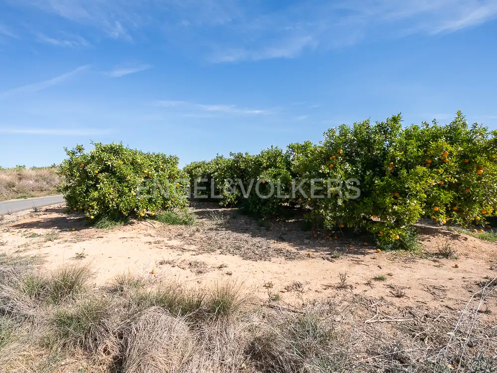 Terrenos y solares en venta en Pedralba, imagen 2