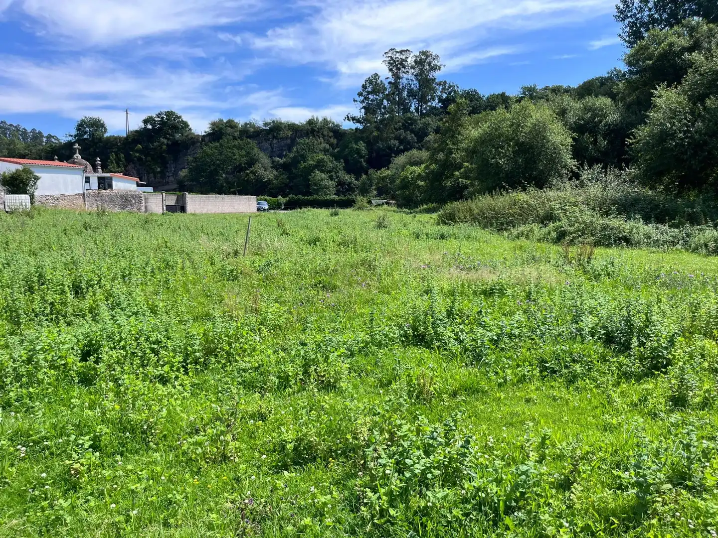 Residential for sale in Reocín