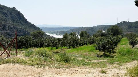 Foto 3 de Finca rústica en venta en Poligono 2, Xerta, Tarragona