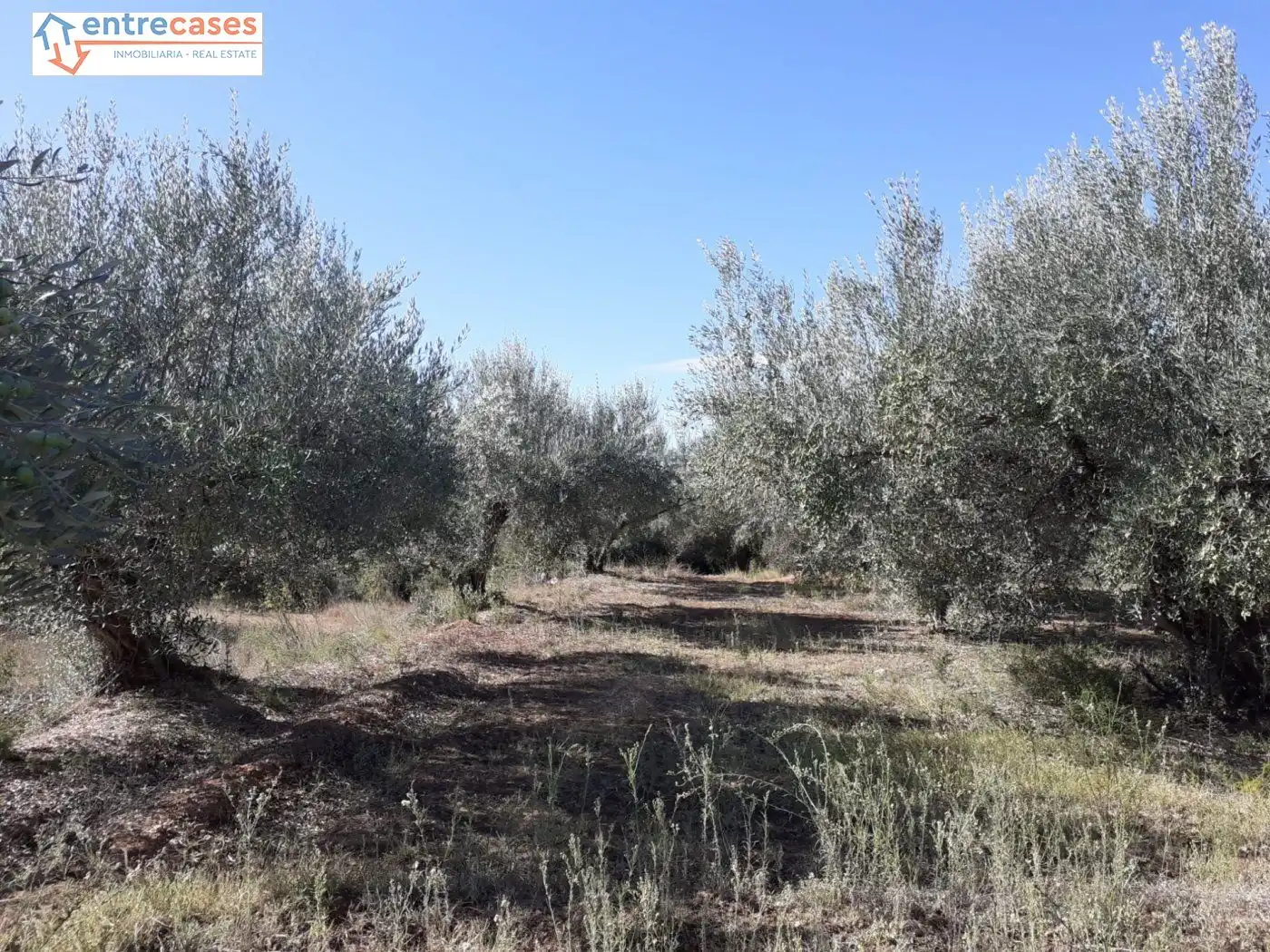 Terreno rustico in vendita a Segorbe, imagen 16
