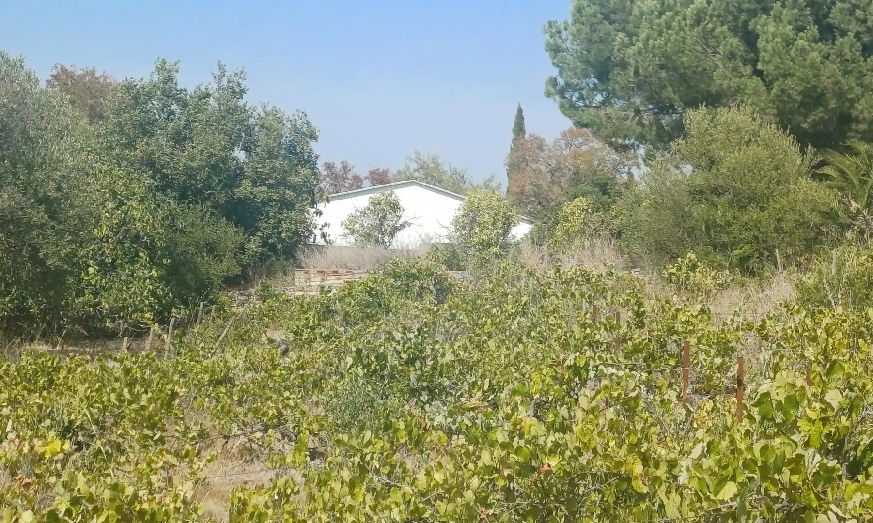 Casa rústica en venda a Los Garciagos, Polígono 119, Parcela 100, imagen 10