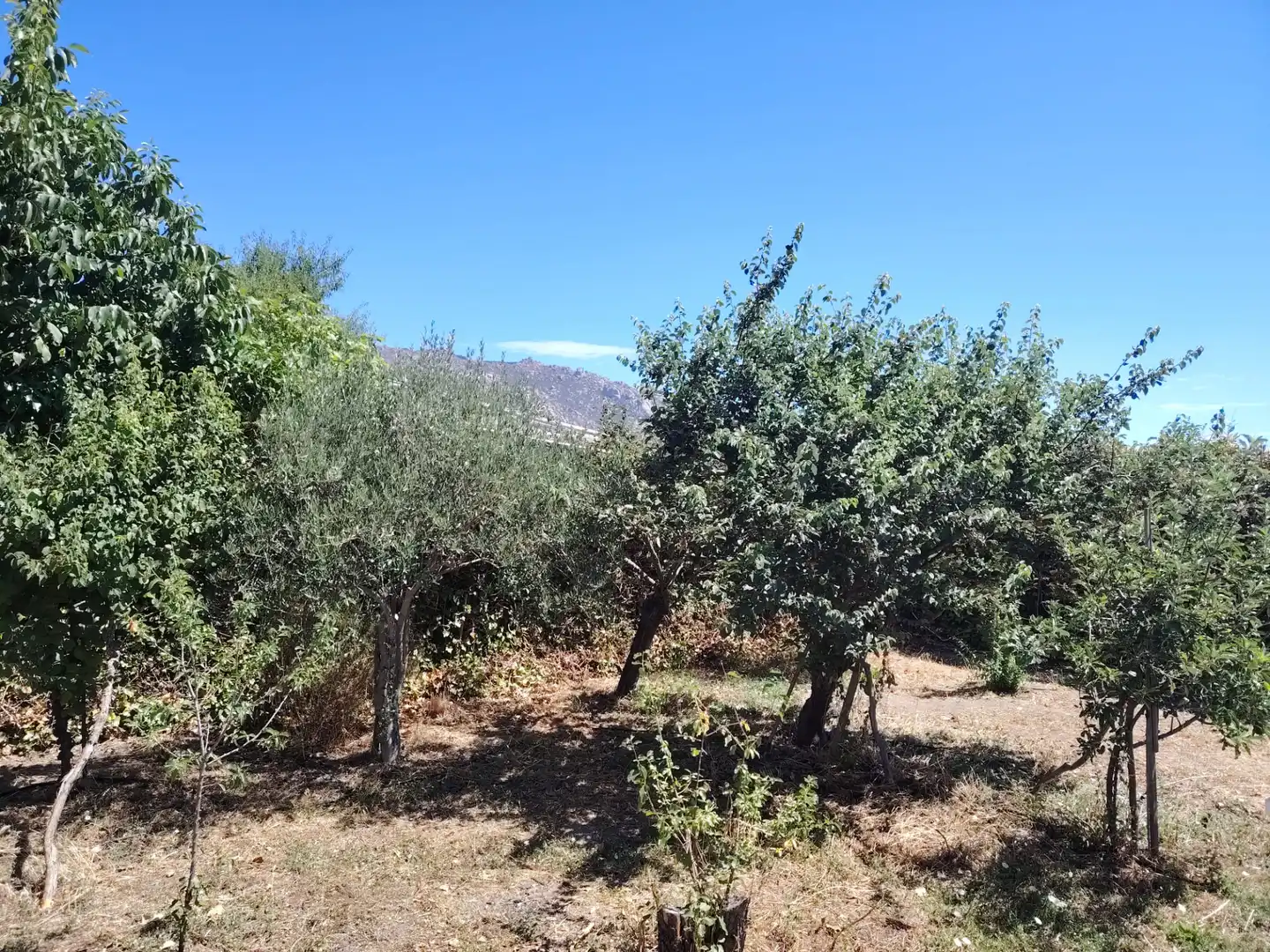 Casa o chalet en venta en El Boalo - Cerceda – Mataelpino con Jardín privado, Piscina y Amueblado