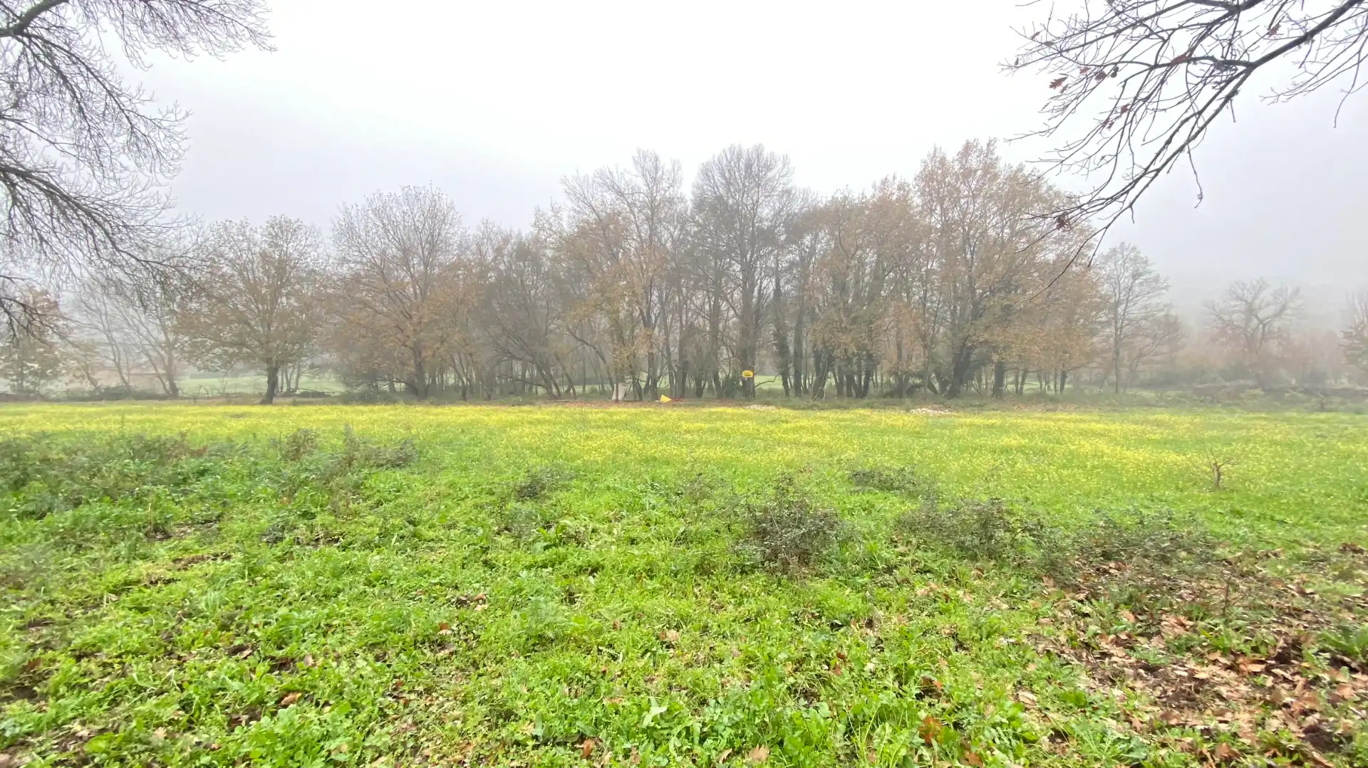 Terreni e lotti in vendita a Valdastillas, imagen 10