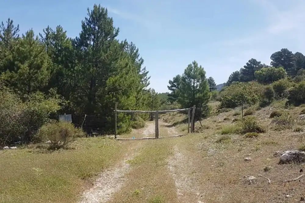 Terreno rústico en venta en Carretera Caravaca, imagen 6