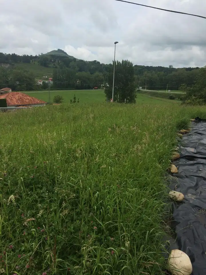 Residential land for sale in Reocín, imagen 5