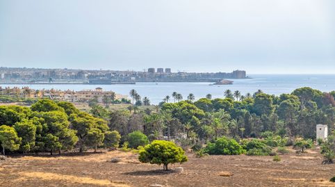 Foto 3 de Àtic en venda a N/a, -1, Punta Prima, Orihuela
