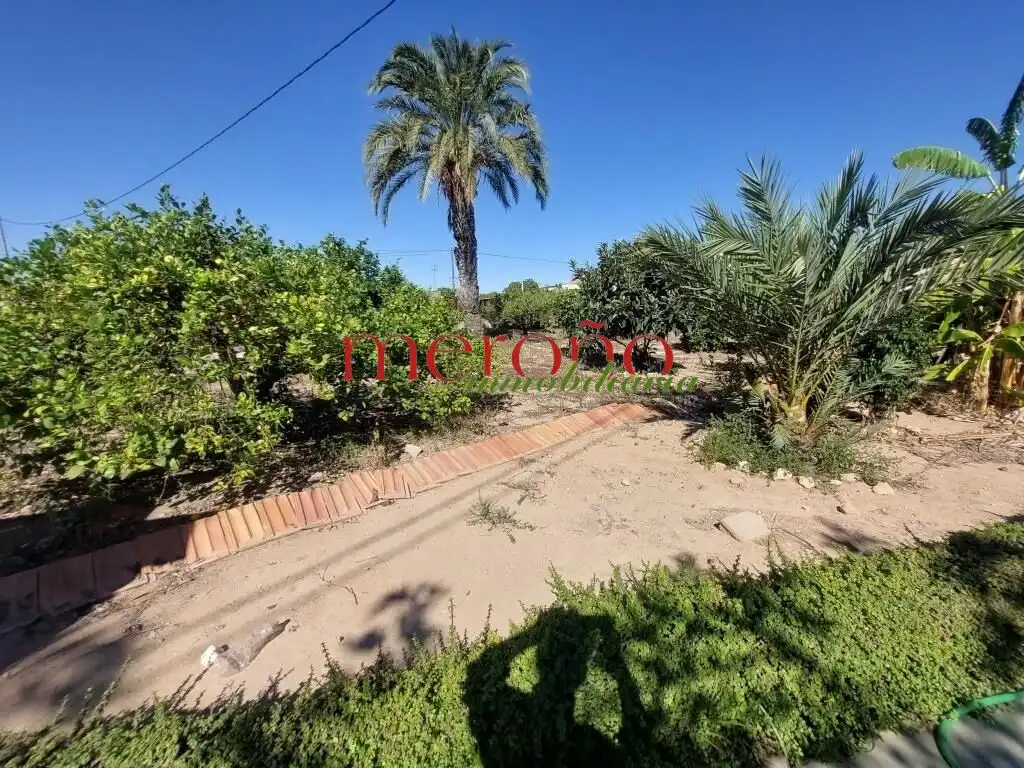 Casa o xalet en venda en Elche / Elx amb Jardí privat i Piscina