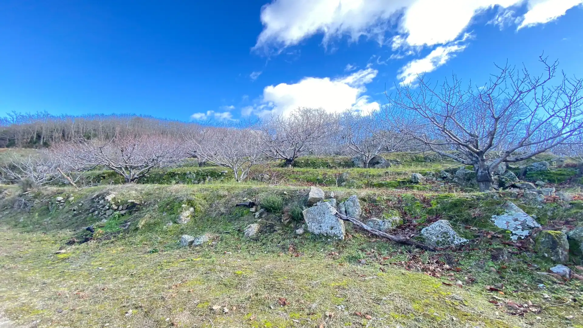 Terreni e lotti in vendita a Pasarón de la Vera, imagen 14