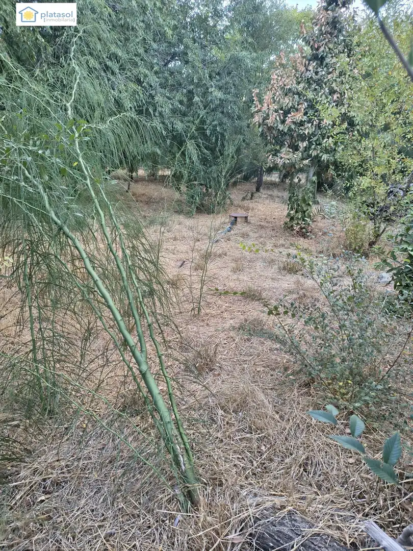 Terreno residenziale in vendita a ALCAUDON, imagen 6