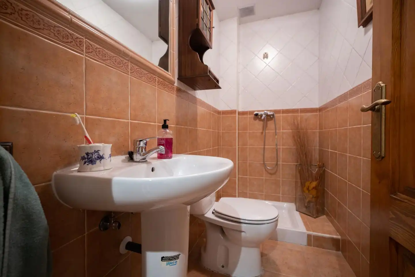 Bany de Casa o xalet en venda en Ávila amb Calefacció, Jardí privat i Terrassa