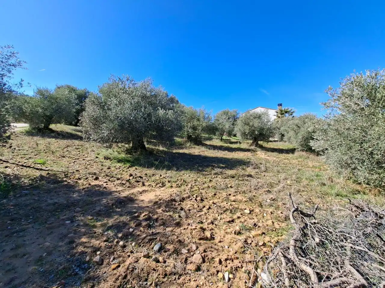 Lands and plots for sale in Calle Río Tajuña 1676, imagen 3