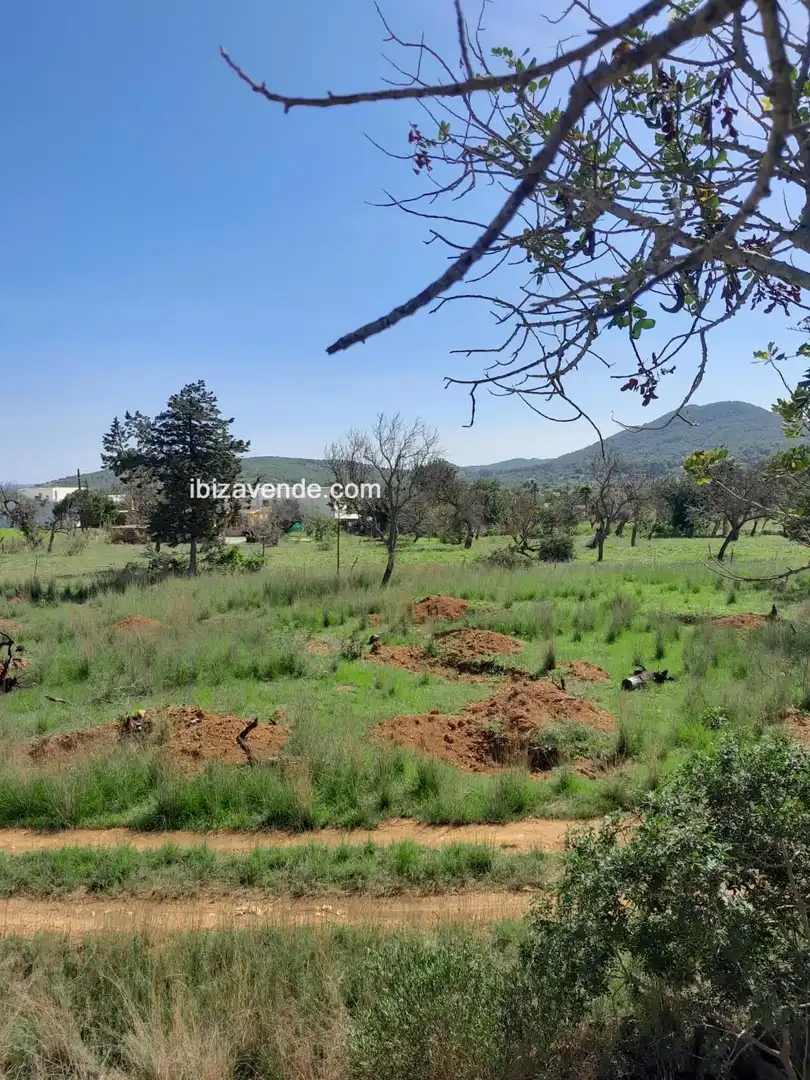 Terreno en venta en Es Canar, Sant Carles