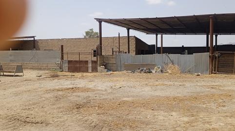 Photo 2 of Industrial buildings to rent in Camino Rambla de Purias, 2, Purias, Murcia