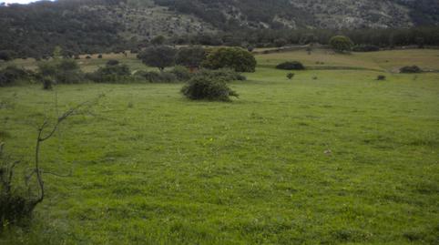 Foto 2 de Terreno en venta en Colegios, Moralzarzal