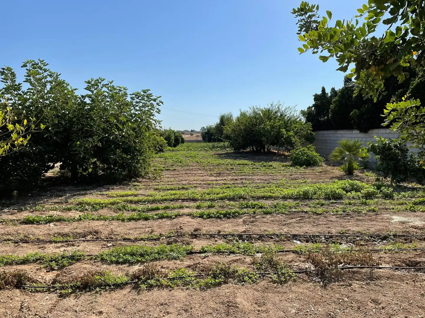 Casa o chalet en venta en Orihuela