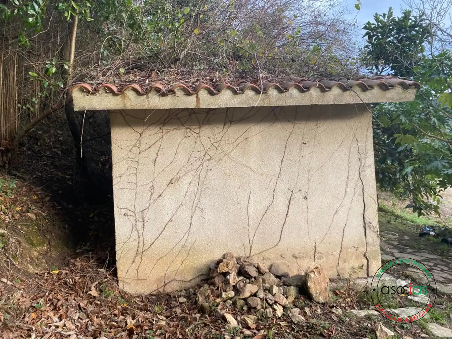 Terreno rustico in vendita a Gijón - BARRIO SAN PELAYO, imagen 4