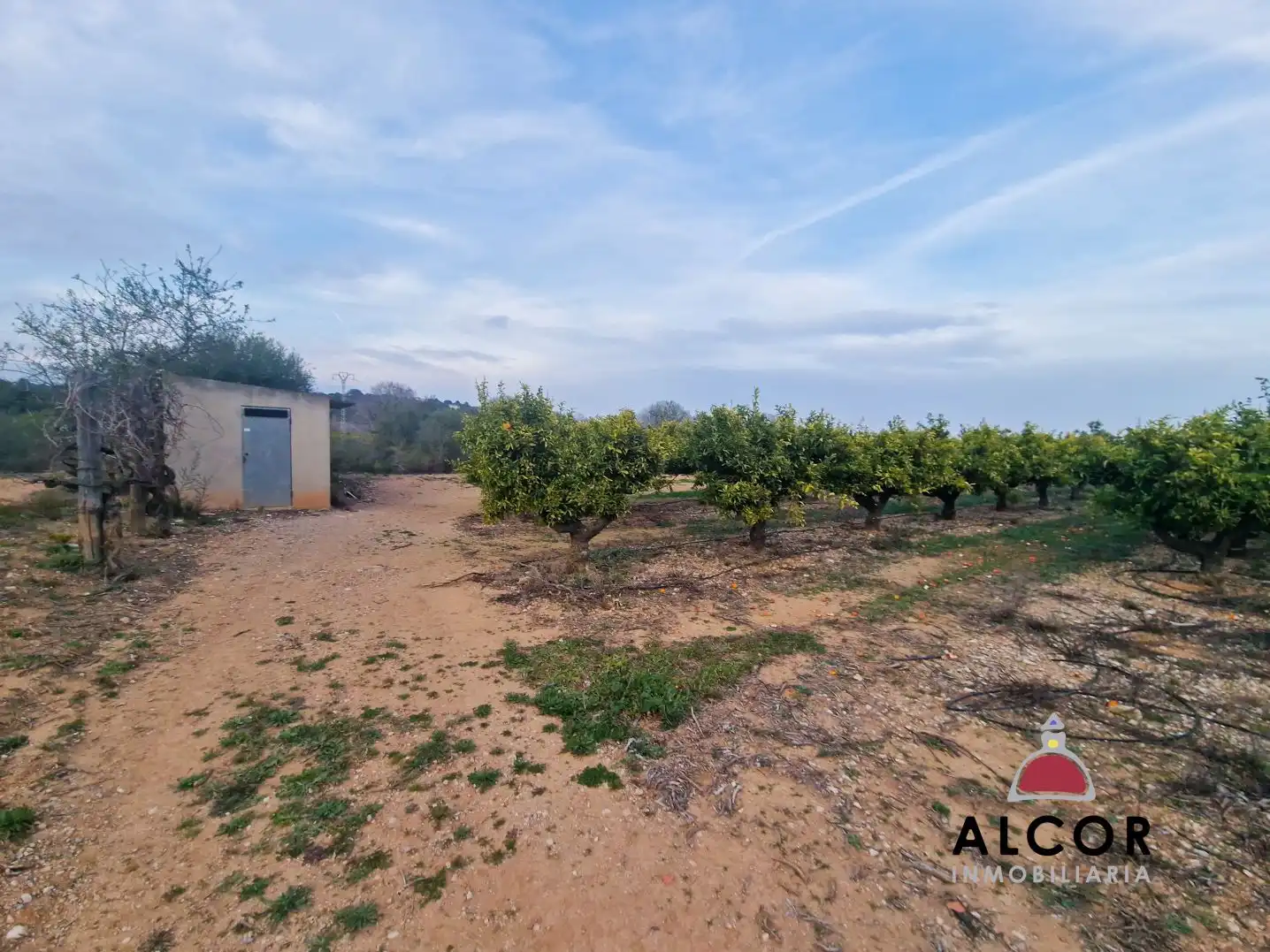 Finca rústica en venda en Càlig