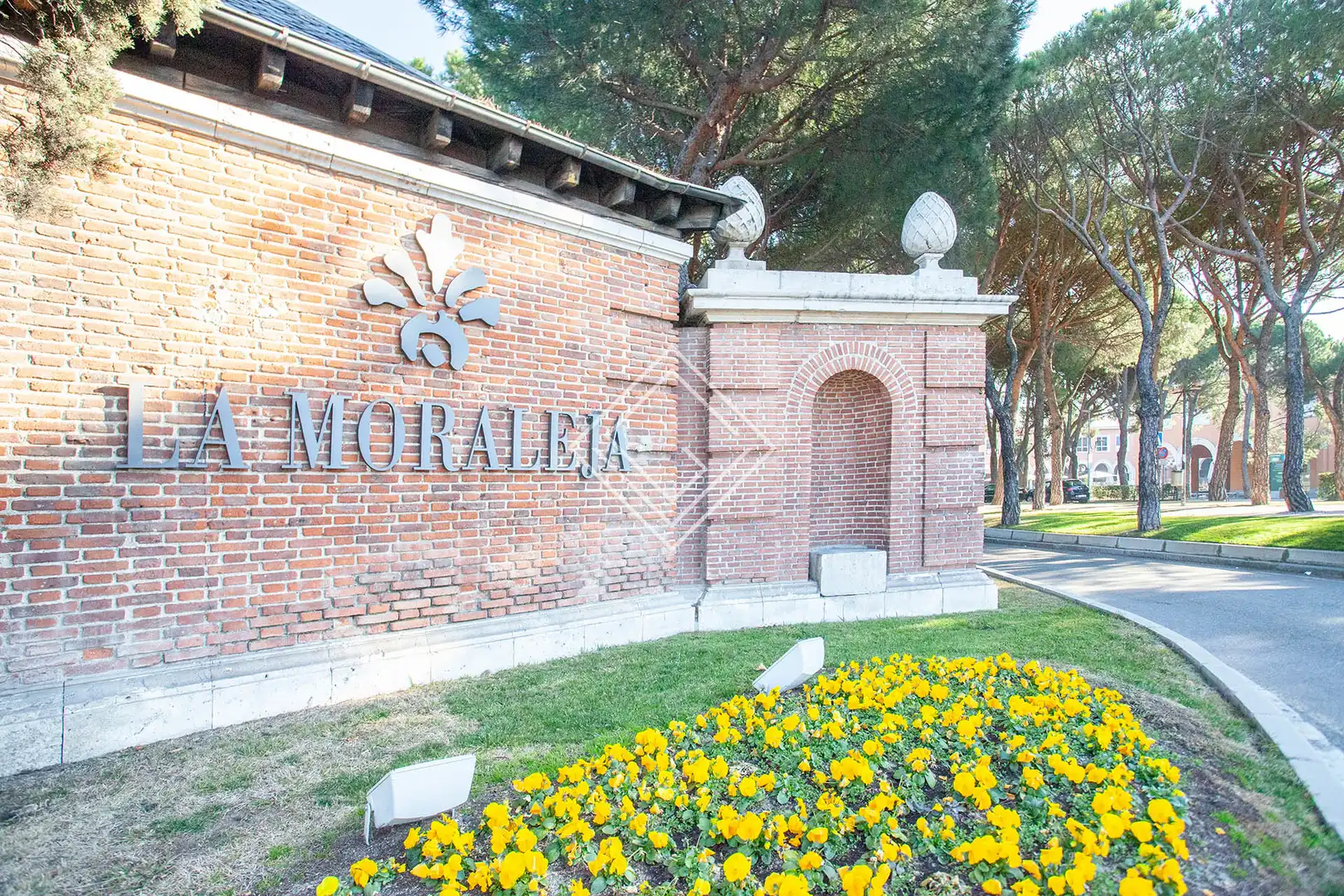 Vista exterior de Casa o chalet de alquiler en La Moraleja con Aire acondicionado, Jardín privado y Piscina