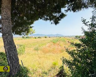 Land for sale in Molí Nou - Ciutat Cooperativa