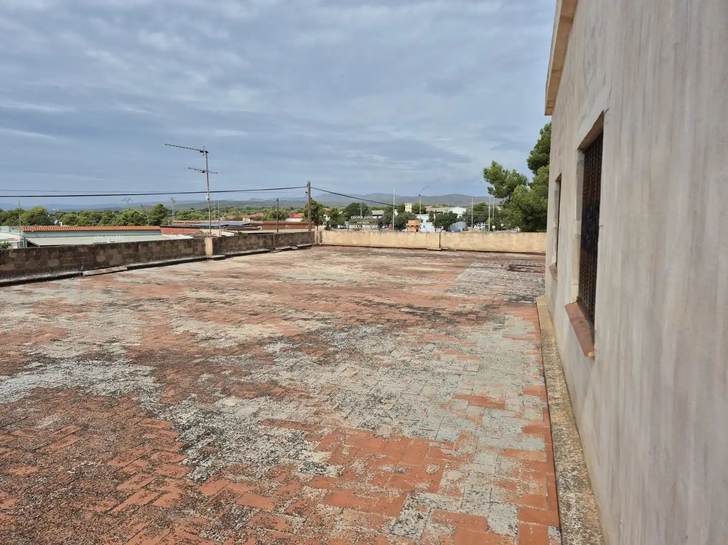 Nave industrielle à vendre à Marines - CARRETERA BASE MILITAR, imagen 10