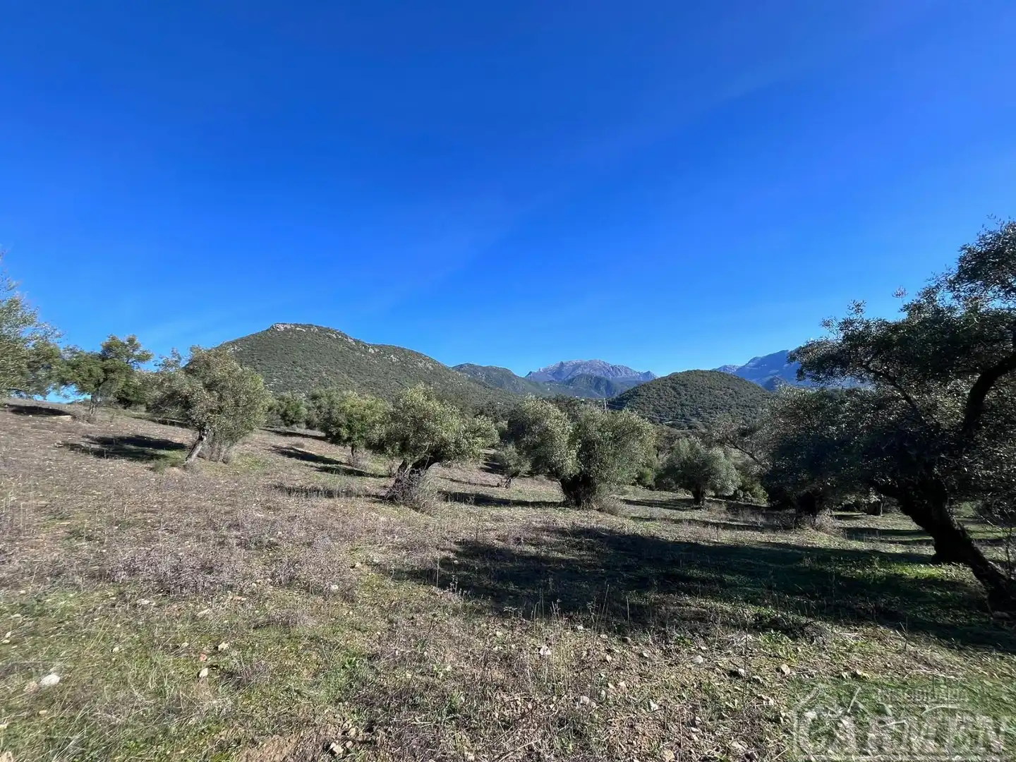Finca rústica en venda en El Bosque