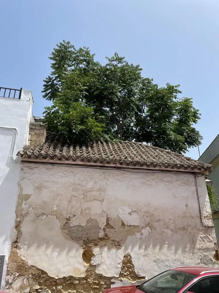 Casa o chalet en venta en Arcos de la Frontera