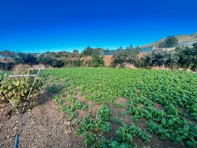 Land for sale in Granadilla de Abona