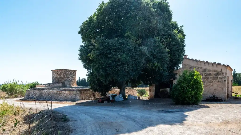 Maison rustique à vendre à Muro, imagen 20