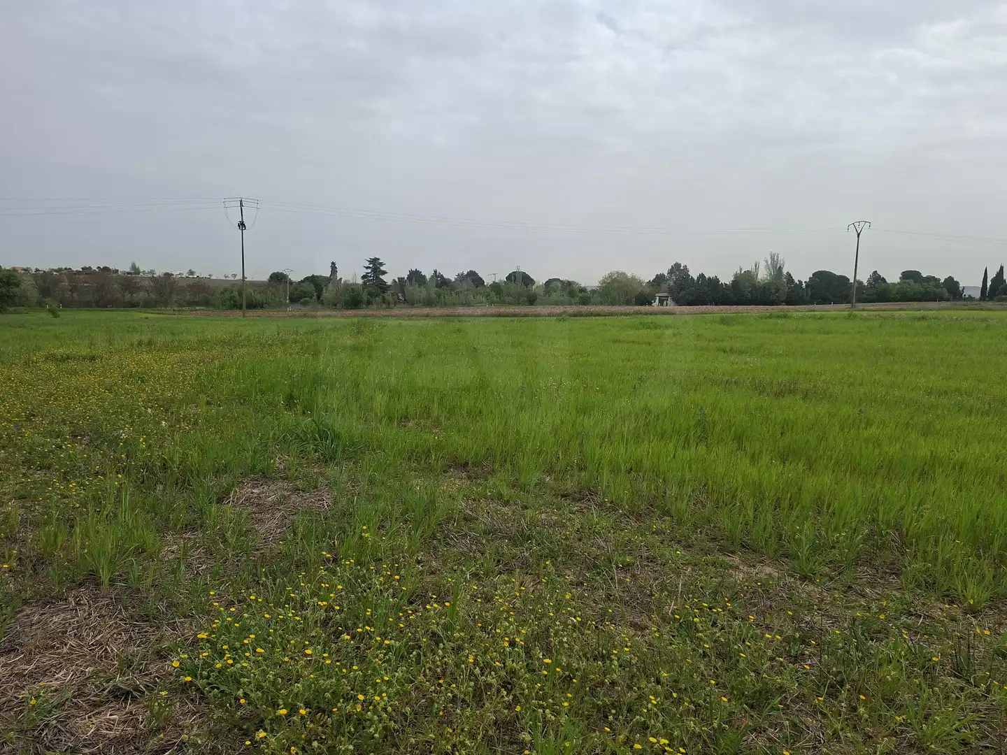 Rural land for sale in Cubas de la Sagra, imagen 6