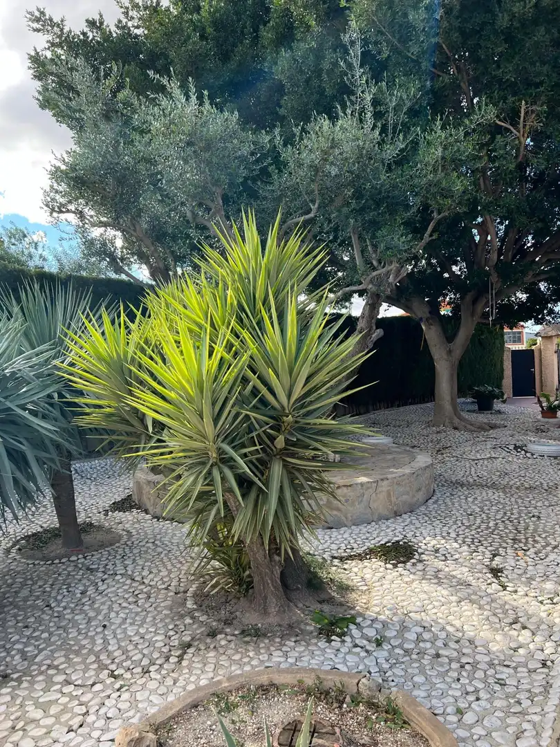 Garden of Houses for sale in Elche / Elx  with Heating, Terrace and Storage room