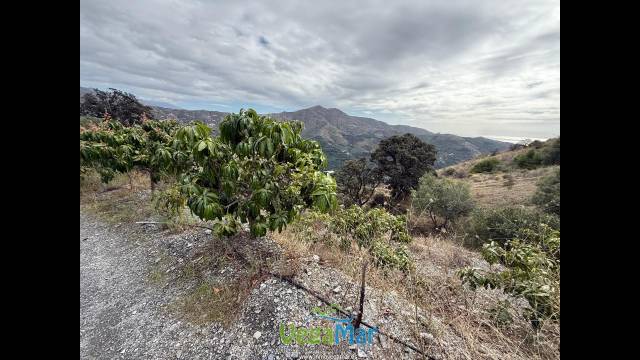 Terreno en Venta en Polígono 4 en Jete