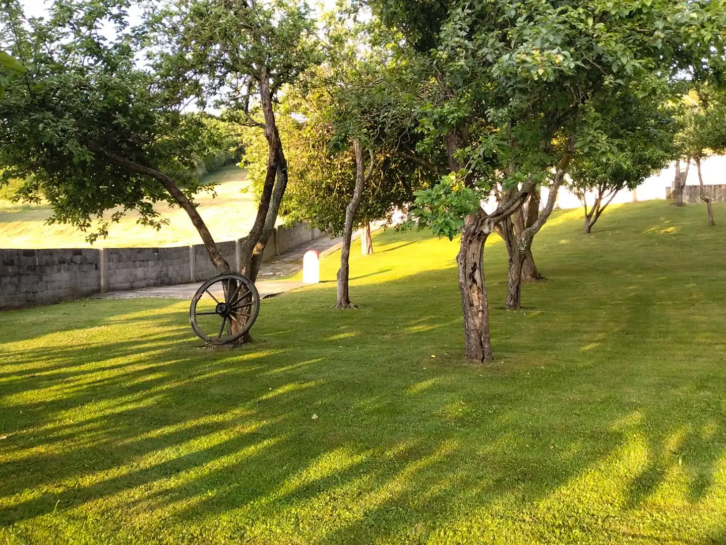 Garden of Commercial properties for sale in Salas