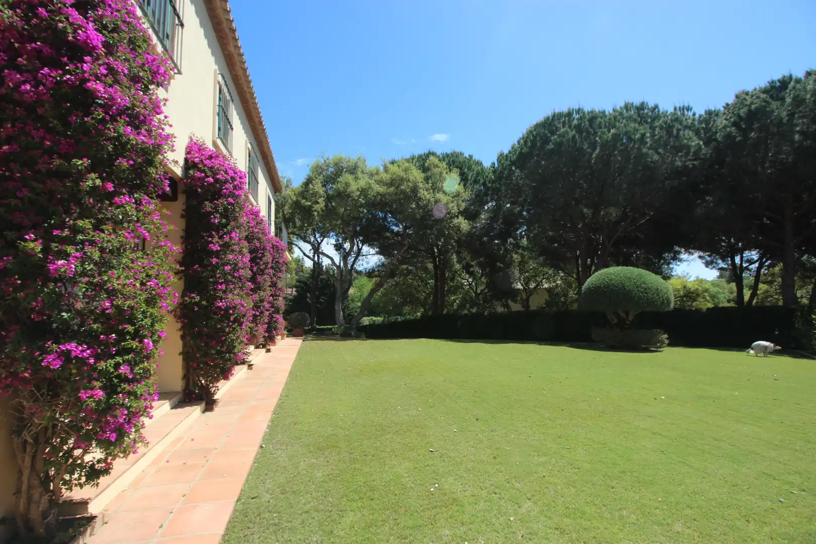 Casa con piscina en venta en Sotogrande Alto, imagen 18