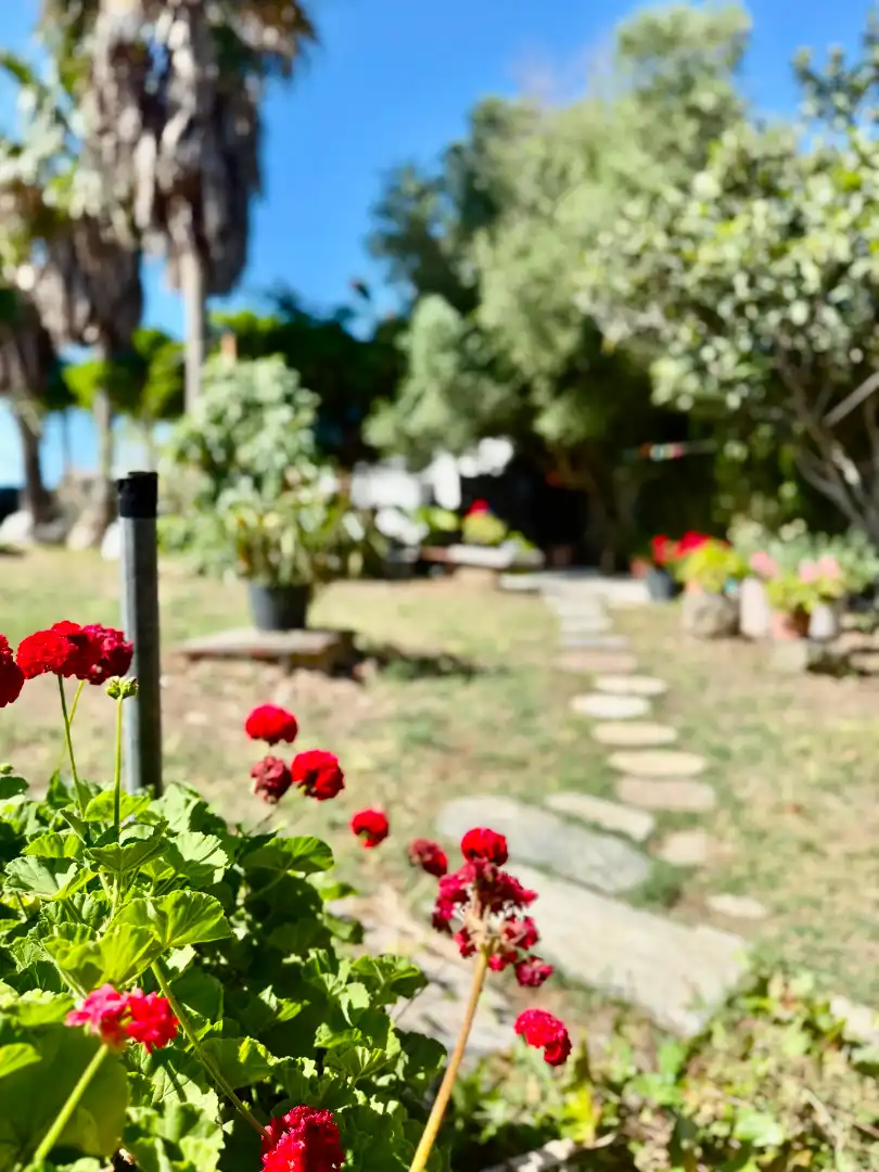 Jardí de Casa o xalet de lloguer en Tarifa amb Jardí privat, Terrassa i Traster