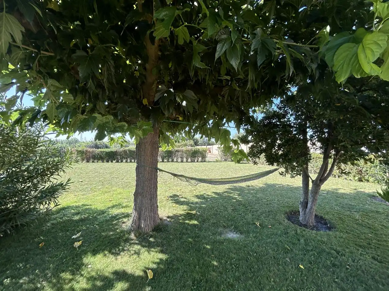 Finca rústica en venta en Galoche, Azucarera