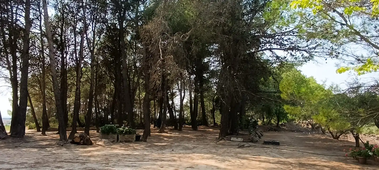 Residencial en venda en Vilalba dels Arcs