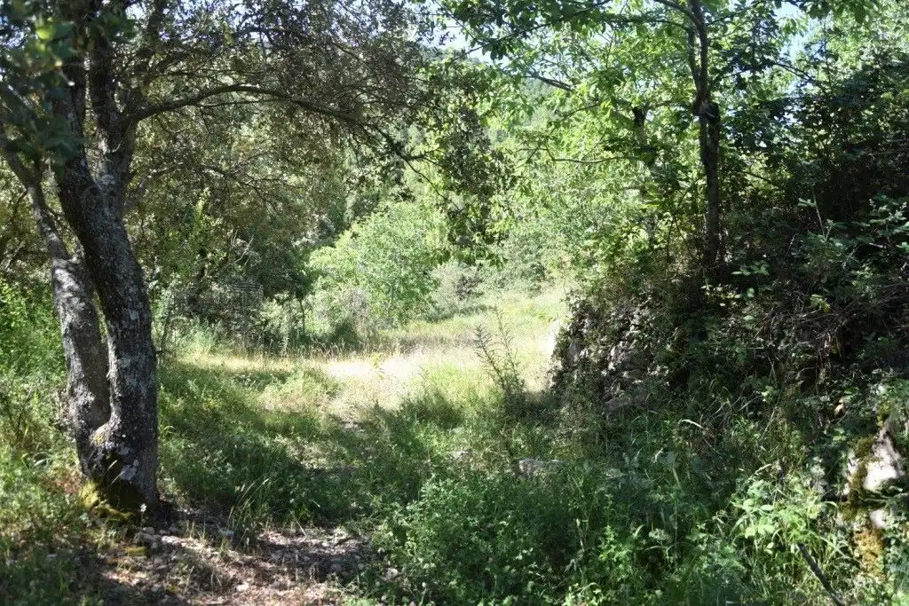 Terreni e lotti in vendita a Peñarroya de Tastavins, imagen 20