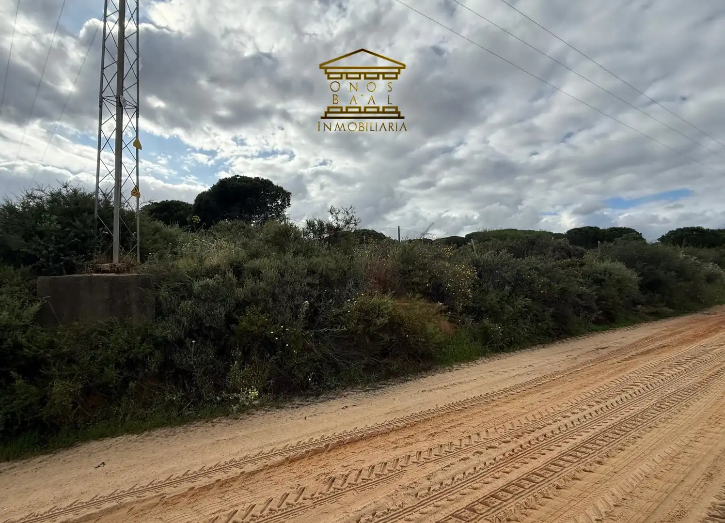 Vista exterior de Terreno en venta en Almonte