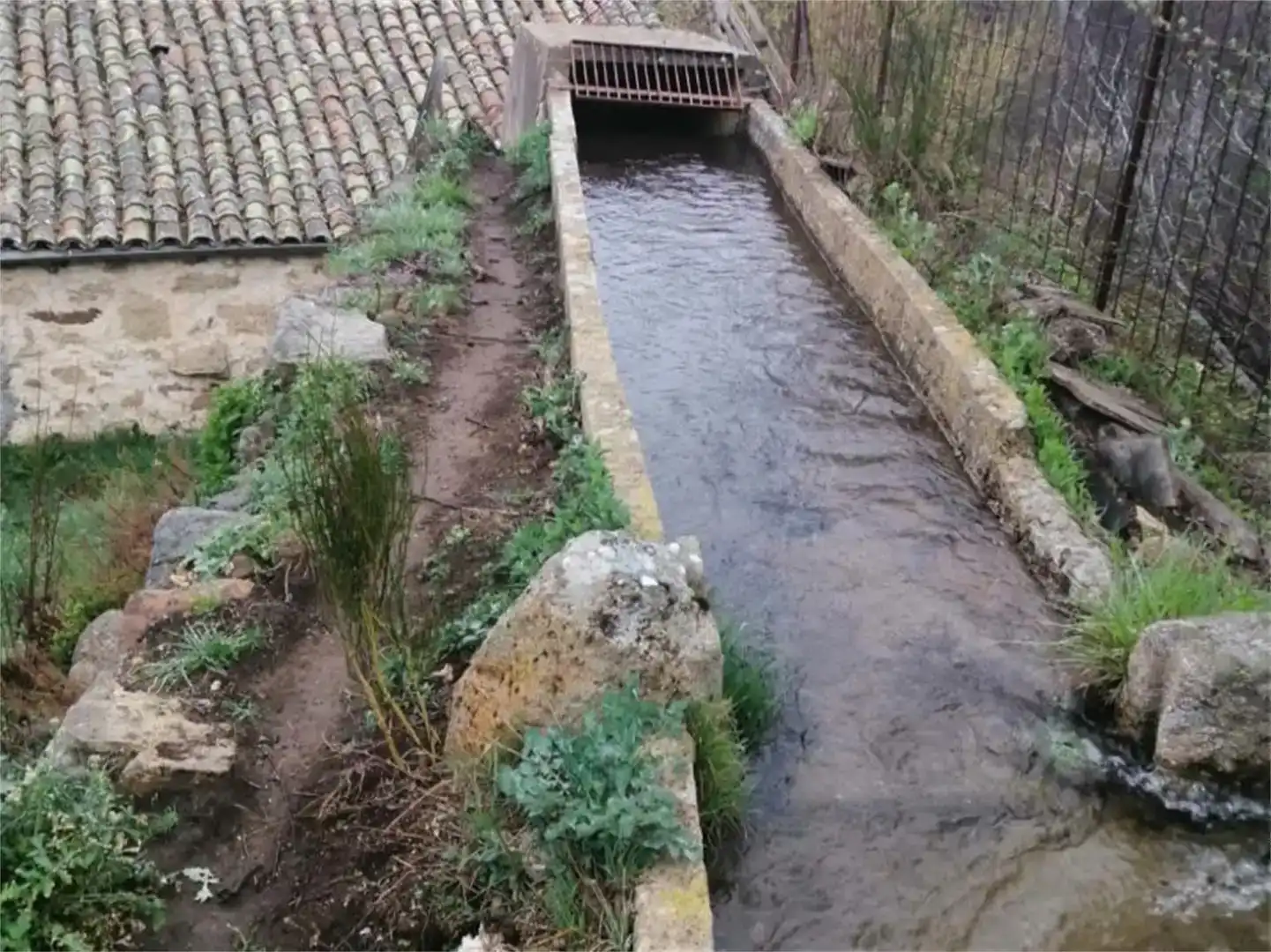 Vista exterior de Finca rústica en venta en Becedas con Jardín privado