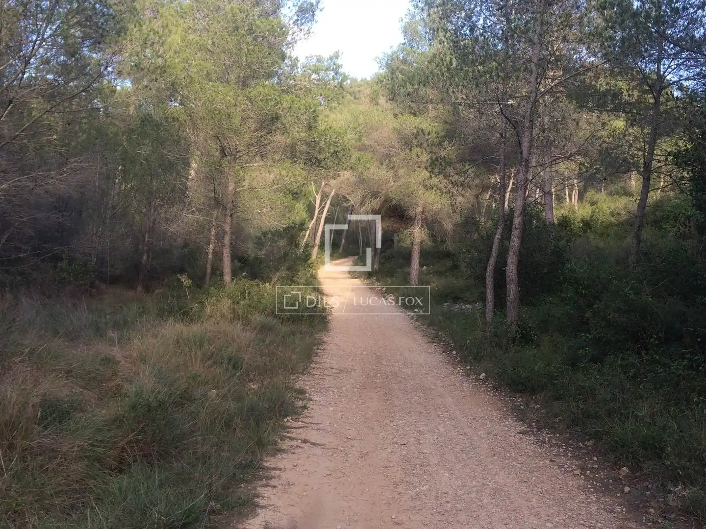 Casa rustica in vendita a Castellet i la Gornal, imagen 23