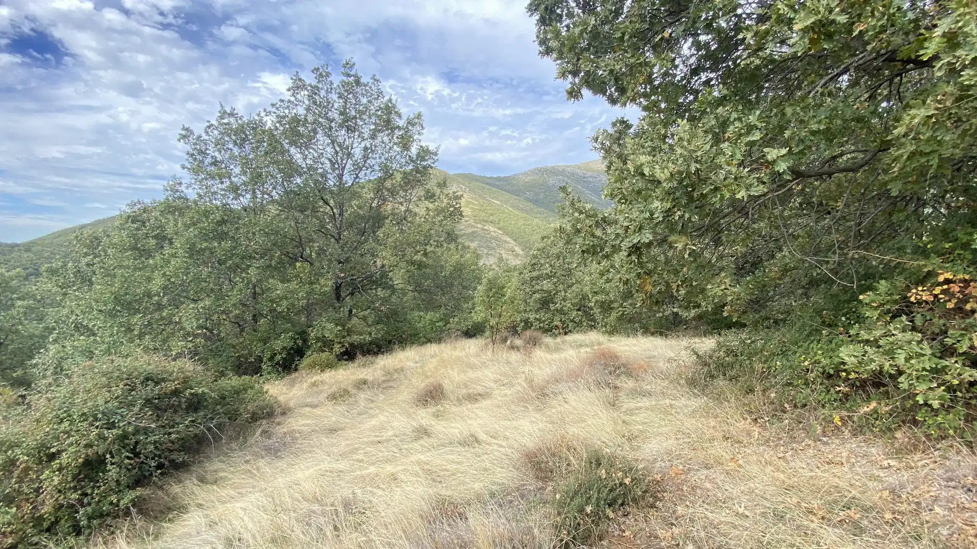 Terreno en venta en Tornavacas