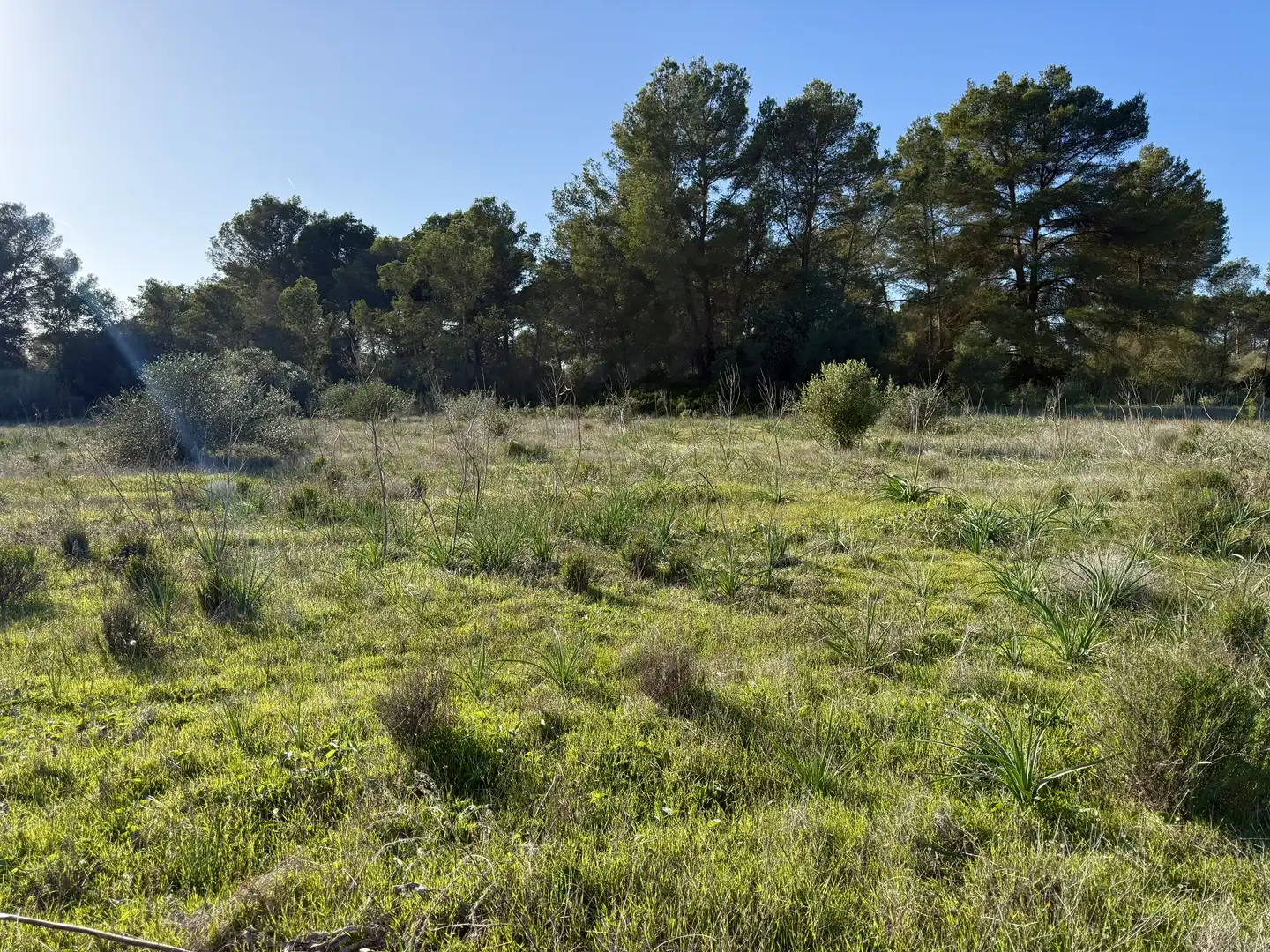 Terreni e lotti in vendita a Algaida, imagen 5