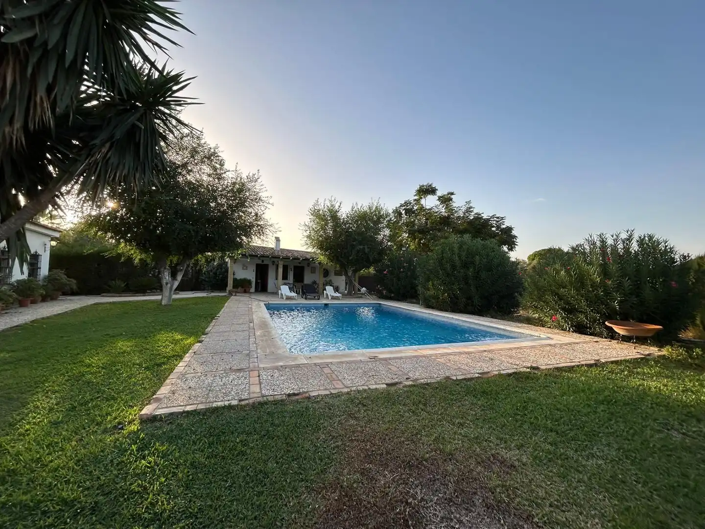 Piscina de Casa o chalet en venta en Carmona con Aire acondicionado, Terraza y Piscina